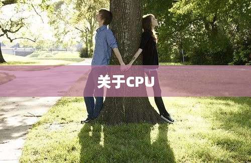 关于CPU