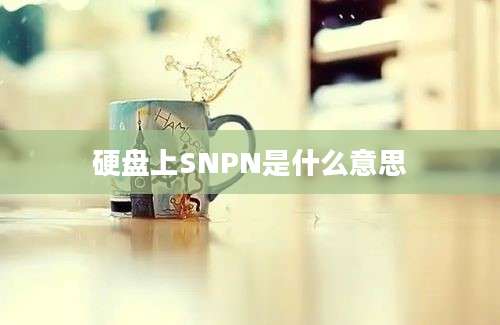 硬盘上SNPN是什么意思