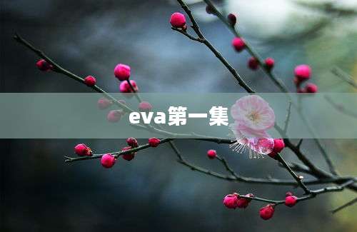 eva第一集