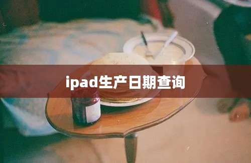 ipad生产日期查询