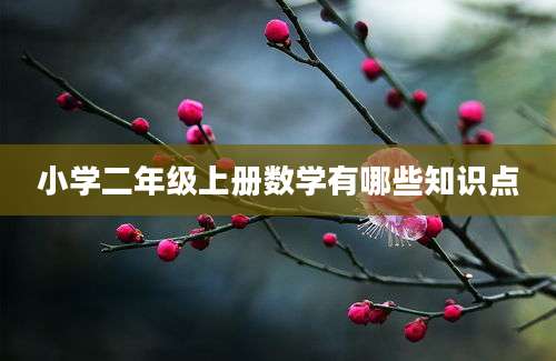 小学二年级上册数学有哪些知识点