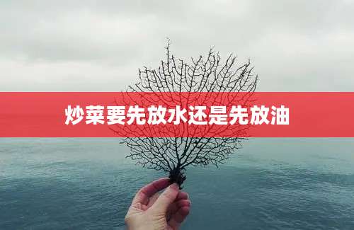 炒菜要先放水还是先放油