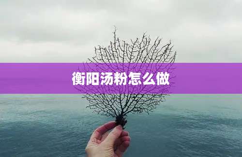 衡阳汤粉怎么做