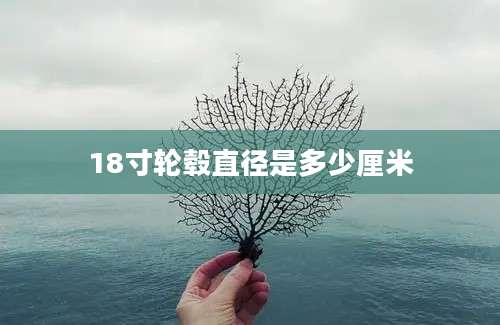 18寸轮毂直径是多少厘米