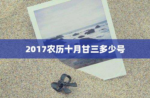 2017农历十月甘三多少号