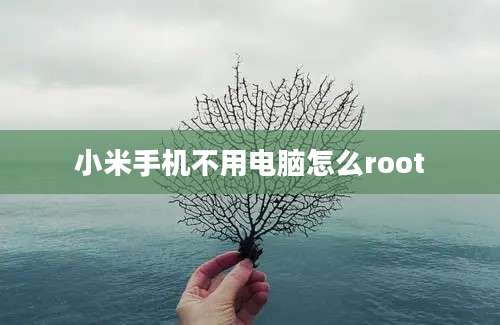 小米手机不用电脑怎么root