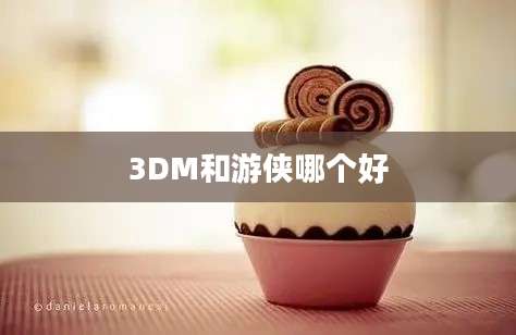 3DM和游侠哪个好