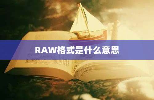 RAW格式是什么意思