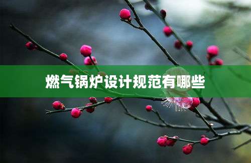 燃气锅炉设计规范有哪些