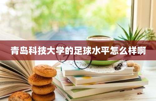 青岛科技大学的足球水平怎么样啊