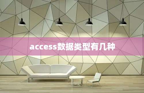 access数据类型有几种