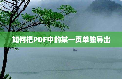 如何把PDF中的某一页单独导出