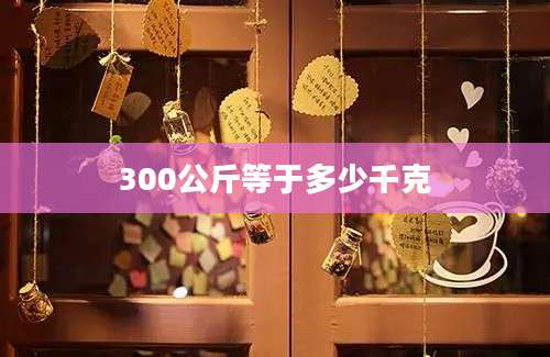 300公斤等于多少千克