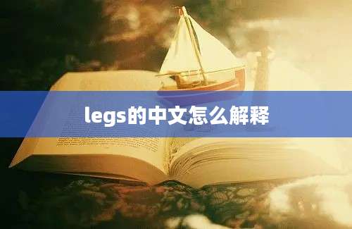 legs的中文怎么解释