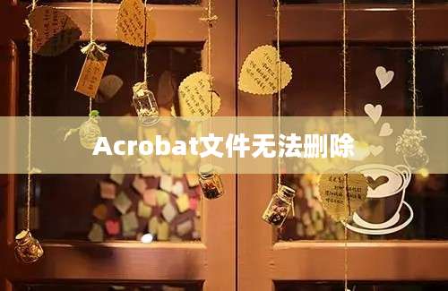 Acrobat文件无法删除