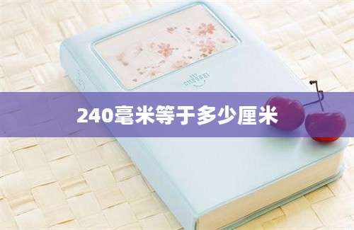 240毫米等于多少厘米