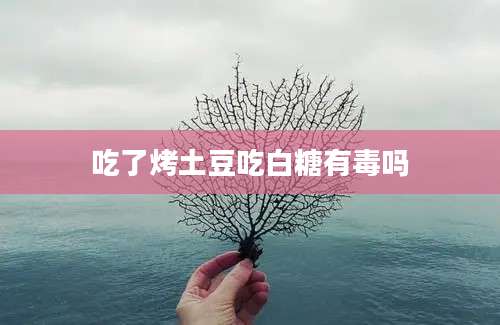 吃了烤土豆吃白糖有毒吗