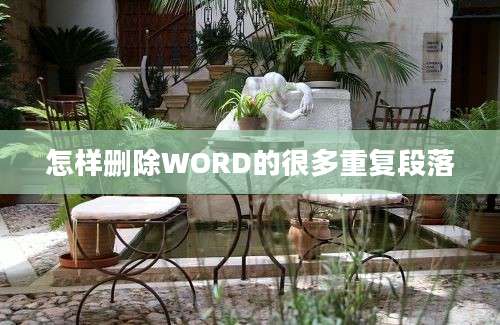 怎样删除WORD的很多重复段落