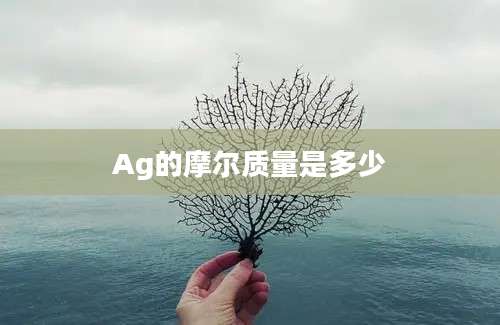 Ag的摩尔质量是多少