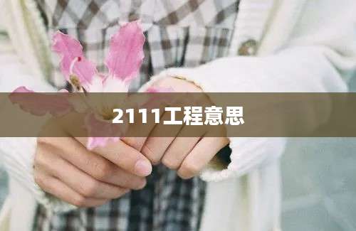 2111工程意思