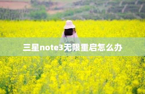 三星note3无限重启怎么办