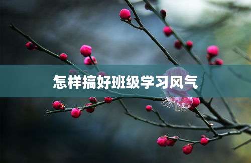 怎样搞好班级学习风气