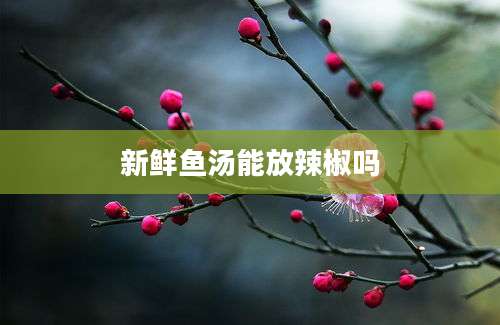 新鲜鱼汤能放辣椒吗