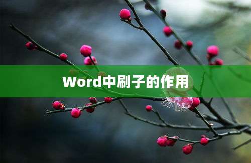 Word中刷子的作用