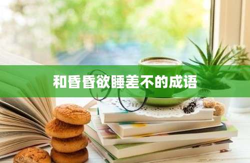 和昏昏欲睡差不的成语