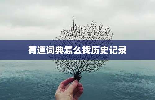 有道词典怎么找历史记录