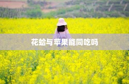 花蛤与苹果能同吃吗