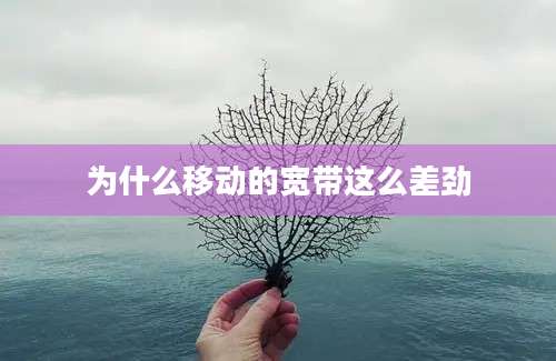 为什么移动的宽带这么差劲