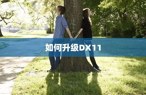 如何升级DX11