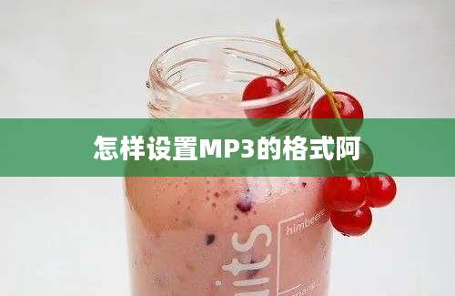 怎样设置MP3的格式阿