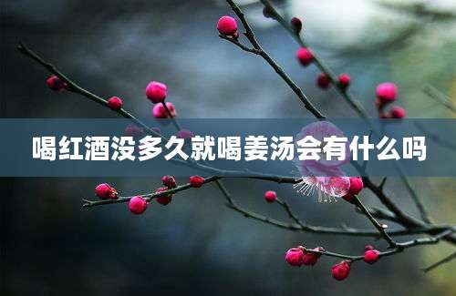 喝红酒没多久就喝姜汤会有什么吗