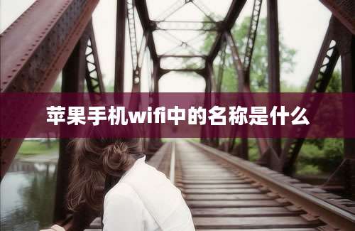 苹果手机wifi中的名称是什么