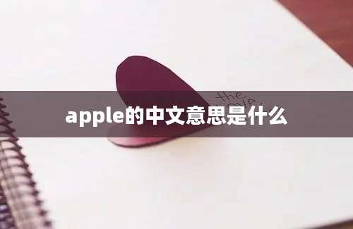 apple的中文意思是什么