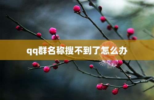 qq群名称搜不到了怎么办