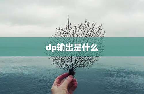 dp输出是什么