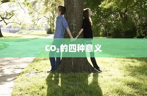 CO₂的四种意义