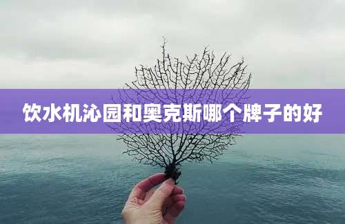 饮水机沁园和奥克斯哪个牌子的好