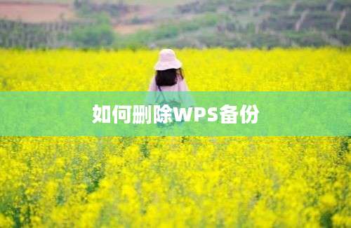 如何删除WPS备份