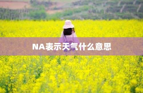 NA表示天气什么意思