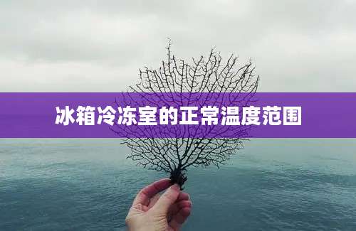 冰箱冷冻室的正常温度范围