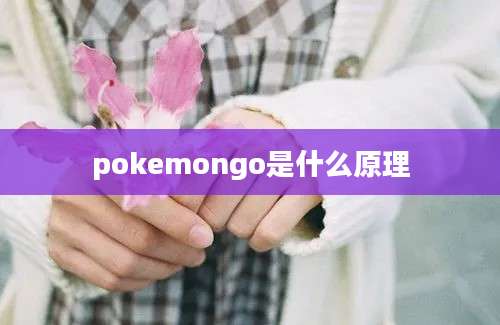 pokemongo是什么原理