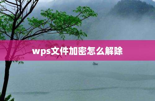 wps文件加密怎么解除