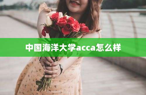 中国海洋大学acca怎么样