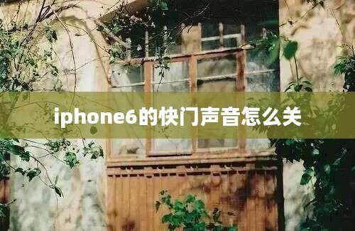 iphone6的快门声音怎么关