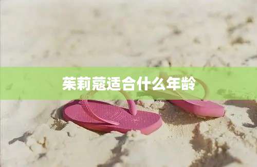 茱莉蔻适合什么年龄