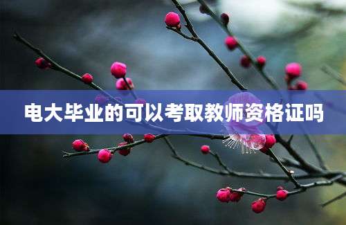 电大毕业的可以考取教师资格证吗